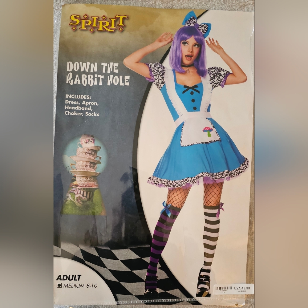Alice In Wonderland down the rabbit hole costume
